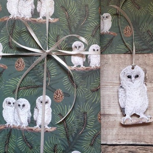 Baby Owls Wrapping paper image 7