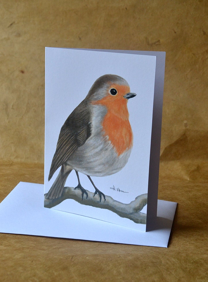 Robin Bird - Greeting Card - Woodland Animal Card - Eco-friendly - Etsy
