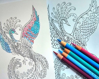 Colouring In Postcard Set - Colour Magic - Five Beautiful Designs - Adult Colouring - Coloring Activity