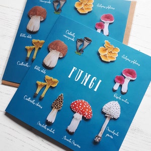 Mushroom Card - Fungi Greeting Card - Etsy