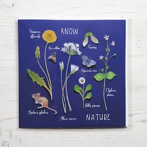 Know Nature Card - Botanical Greeting Card - Foraging Card - Happy Birthday - Paper Cut Art