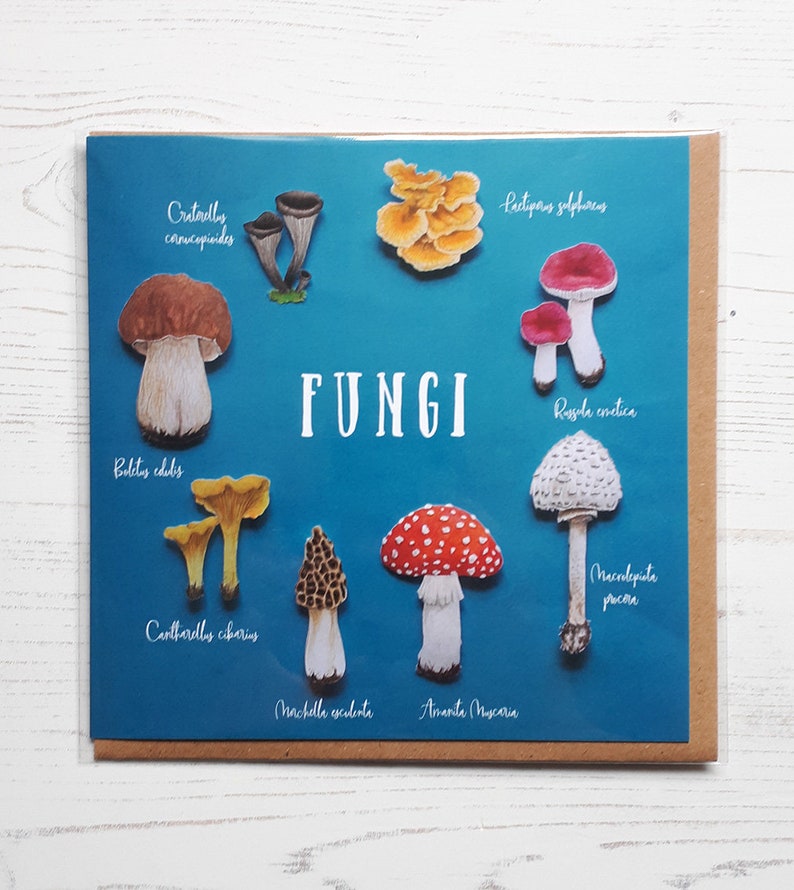 Mushroom Card - Fungi Greeting Card - Etsy