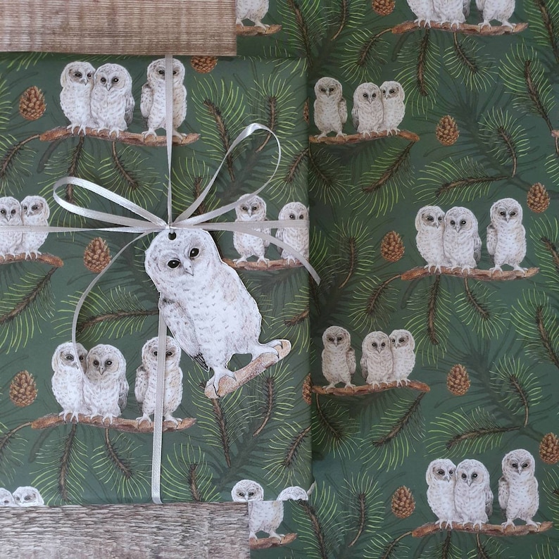 Baby Owls Wrapping paper image 1