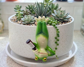 Hanging Frog Resin Figurine, Upside Down Frog Statue,Funny Frog Garden Decor,Frog Hanging Ornament, Aquarium Tank Decoration,Plant Pot Decor