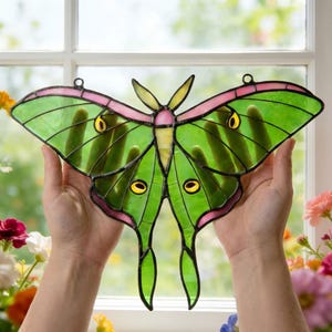 May include: A stained glass butterfly with green wings, pink accents, and yellow details. The butterfly has a symmetrical design with a central body and large, detailed wings. The wings are a vibrant green with yellow and pink accents. The butterfly is held in front of a window.