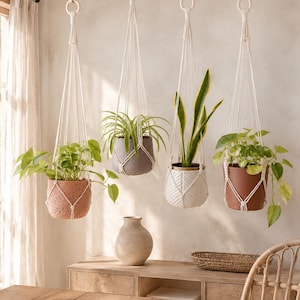 Può includere: Quattro vasi sospesi tramite cordini in macramè bianco con anelli in legno. I vasi includono un modello in terracotta testurizzata, uno grigio a motivi, uno bianco con motivo a spina di pesce e uno marrone liscio, contenenti piante verdi.