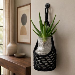 May include: A clear, textured glass vase held within a black macrame net hanger. The hanger is suspended from a black circular wall hook. An aloe vera plant with long, pointed green leaves is placed inside the glass vase, extending upwards.