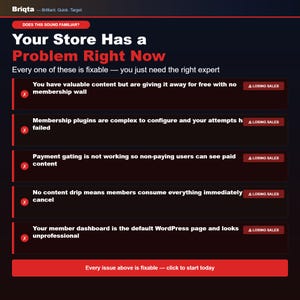 May include: A dark-themed digital graphic titled Briqta with the text: Does this sound familiar? Your Store Has a Problem Right Now. It lists five common e-commerce issues marked with red X icons and Losing Sales labels, ending with a call to action button.