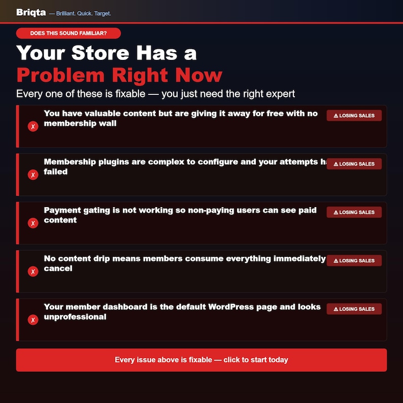 May include: A dark-themed digital graphic titled Briqta with the text: Does this sound familiar? Your Store Has a Problem Right Now. It lists five common e-commerce issues marked with red X icons and Losing Sales labels, ending with a call to action button.