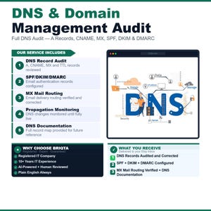 Auditoría de dominio web / Informe de estado y capacidad de entrega de DNS