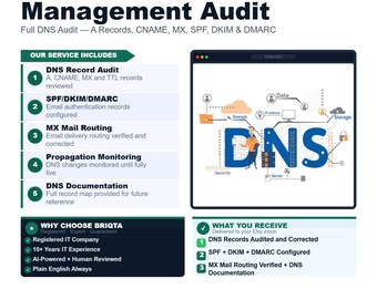 Website Domain Audit | DNS Health & Deliverability Report