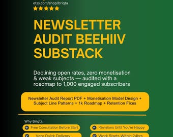 Newsletter Audit, Beehiiv Substack Audit, Newsletter Metrics Analysis, Growth Roadmap to 1000 Subscribers Monthly, Email Marketing