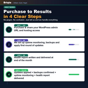 May include: An infographic titled Purchase to Results in 4 Clear Steps by Briqta. It outlines a four-step process: sharing WordPress credentials, setting up monitoring and updates, receiving a monthly health report, and final confirmation.