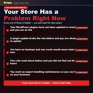 May include: A dark-themed infographic titled Briqta: Your Store Has a Problem Right Now. It lists five common e-commerce issues, each marked with a red X and a Losing Sales badge, including outdated plugins, update fears, lack of backups, downtime, and maintenance needs.
