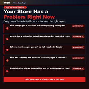 May include: A dark infographic titled Your Store Has a Problem Right Now, listing five common e-commerce SEO issues including unconfigured plugins, default meta titles, missing schema, XML sitemap errors, and social sharing problems, all marked as losing sales.