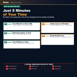 Pu&ograve; includere: Un grafico informativo blu scuro intitolato Briqta, Brilliant. Quick. Target. Elenca cinque passaggi per i requisiti del servizio, tra cui URL del sito web, descrizione dell'attivit&agrave;, piattaforma, accesso amministratore e preferenze del marchio, oltre a un elenco di elementi mai richiesti.