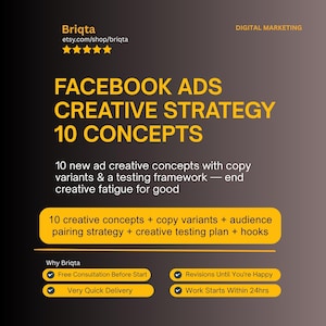 Facebook Ads Creative Strategy, 10 Ad Concepts, Copy Variants, Testing Framework, Meta Ads Expert, Creative Brief