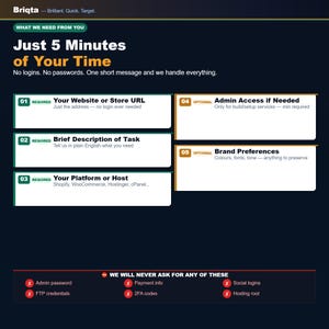 May include: A dark blue informational graphic titled Just 5 Minutes of Your Time by Briqta. It lists five requirements for service requests, including website URL, task description, platform, admin access, and brand preferences, plus a list of excluded data.