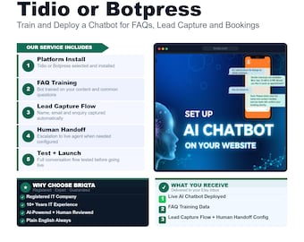 AI Chatbot Setup, Tidio Botpress Training, FAQ Lead Capture Booking Bot, Customer Service Automation, Live Chat Integration