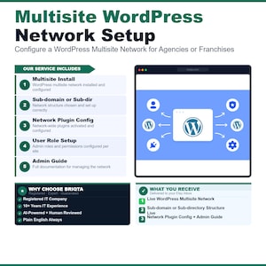 May include: An infographic titled Multisite WordPress Network Setup for agencies or franchises. It lists service inclusions like multisite install, sub-domain structure, plugin config, user roles, and admin guide, alongside a browser window graphic.