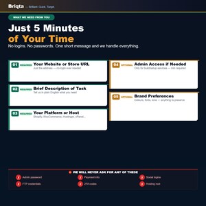 Puede incluir: Un gr&aacute;fico informativo azul oscuro titulado Just 5 Minutes of Your Time de Briqta. Enumera cinco requisitos de servicio, incluyendo URL del sitio, descripci&oacute;n de la tarea, plataforma, acceso de administrador y preferencias de marca, m&aacute;s exclusiones.