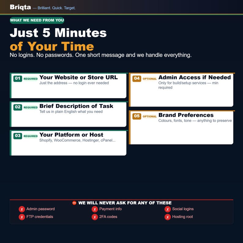 May include: A dark blue informational graphic titled Briqta, listing five requirements for service requests: Website URL, Task Description, Platform, Admin Access, and Brand Preferences. It includes a red footer stating they never ask for passwords.