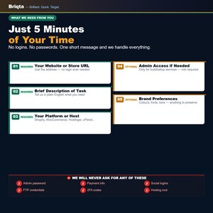 May include: An informational graphic titled Briqta - Brilliant. Quick. Target. outlining a five-step process for service requests. It lists required fields like website URL, task description, and platform, plus optional fields for admin access and brand preferences.