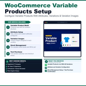 May include: An infographic titled WooCommerce Variable Products Setup detailing service inclusions like variable product build, attribute setup, variation images, stock management, and test purchase, alongside sections for why choose Briqta and what you receive.