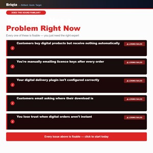 Może przedstawiać: Cyfrowa grafika marketingowa dla Briqta w kolorach czerwonym i czarnym. Tekst brzmi: Does this sound familiar? Your Store Has a Problem Right Now. Wymieniono pięć problem&oacute;w e-commerce, każdy oznaczony czerwonym X i przyciskiem Losing Sales.