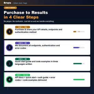 May include: An infographic titled Purchase to Results in 4 Clear Steps by Briqta. It outlines a four-step process: purchase and share API details, document endpoints and error codes, write quick start guides and code examples, and deliver final documentation.