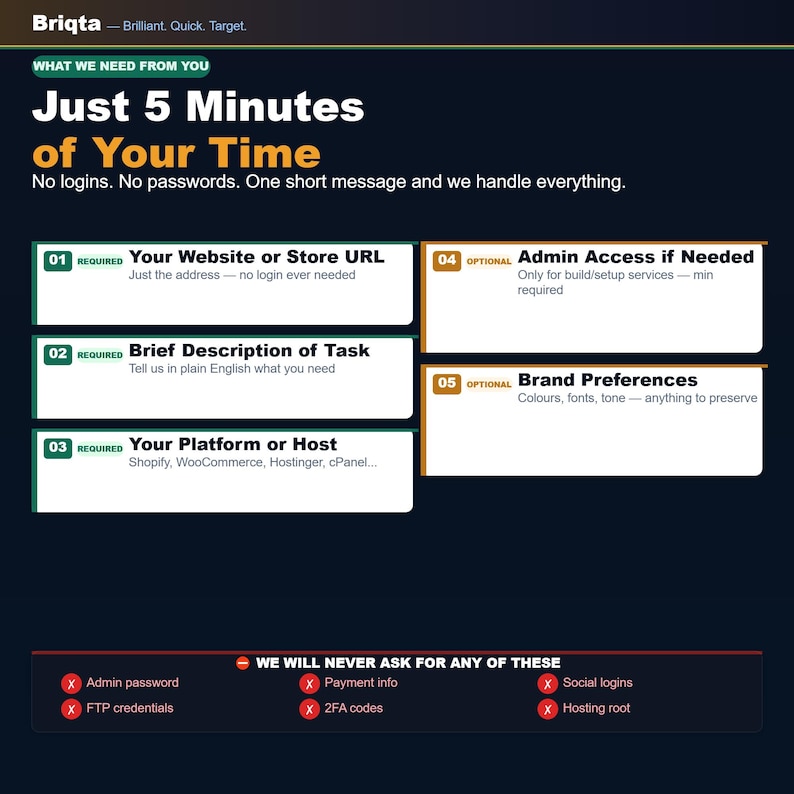 May include: A dark blue informational graphic titled Briqta, Brilliant. Quick. Target. It outlines a five-step process for service requests, listing required items like website URL, task description, and platform, plus optional admin access and brand preferences.
