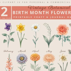 Pacote de PNGs de Flores de Nascimento | Flores e Folhagens de Nascimento Ilustradas à Mão | Kit de Clipart Botânico para Diários de Arte e Artesanato