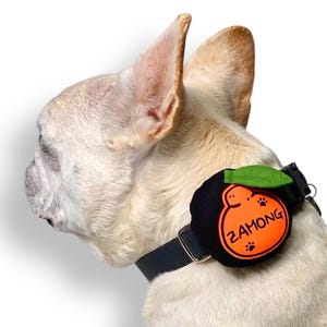 May include: A black dog collar with a decorative orange and green patch. The patch features a cartoon orange design with the text "ZAMONG" in white. The dog is a light tan color with large ears.