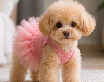 Vestido tutú rosa para perros y gatos pequeños / Vestido de princesa transpirable para mascotas, conjunto para cachorros con falda de volantes