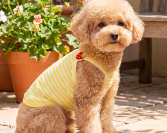 Camiseta sin mangas transpirable para perros / Chaleco de verano para mascotas con un bonito aplique para perros y gatos pequeños.