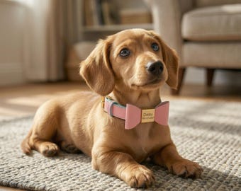 Personalized Leather Dog Collar with Engraved Name Tag | Adjustable Bow Pet Collar