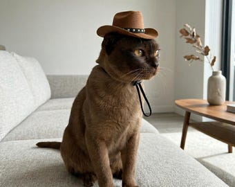 Pet Cowboy Hat Accessory | Western Cat Dog Costume with Strap