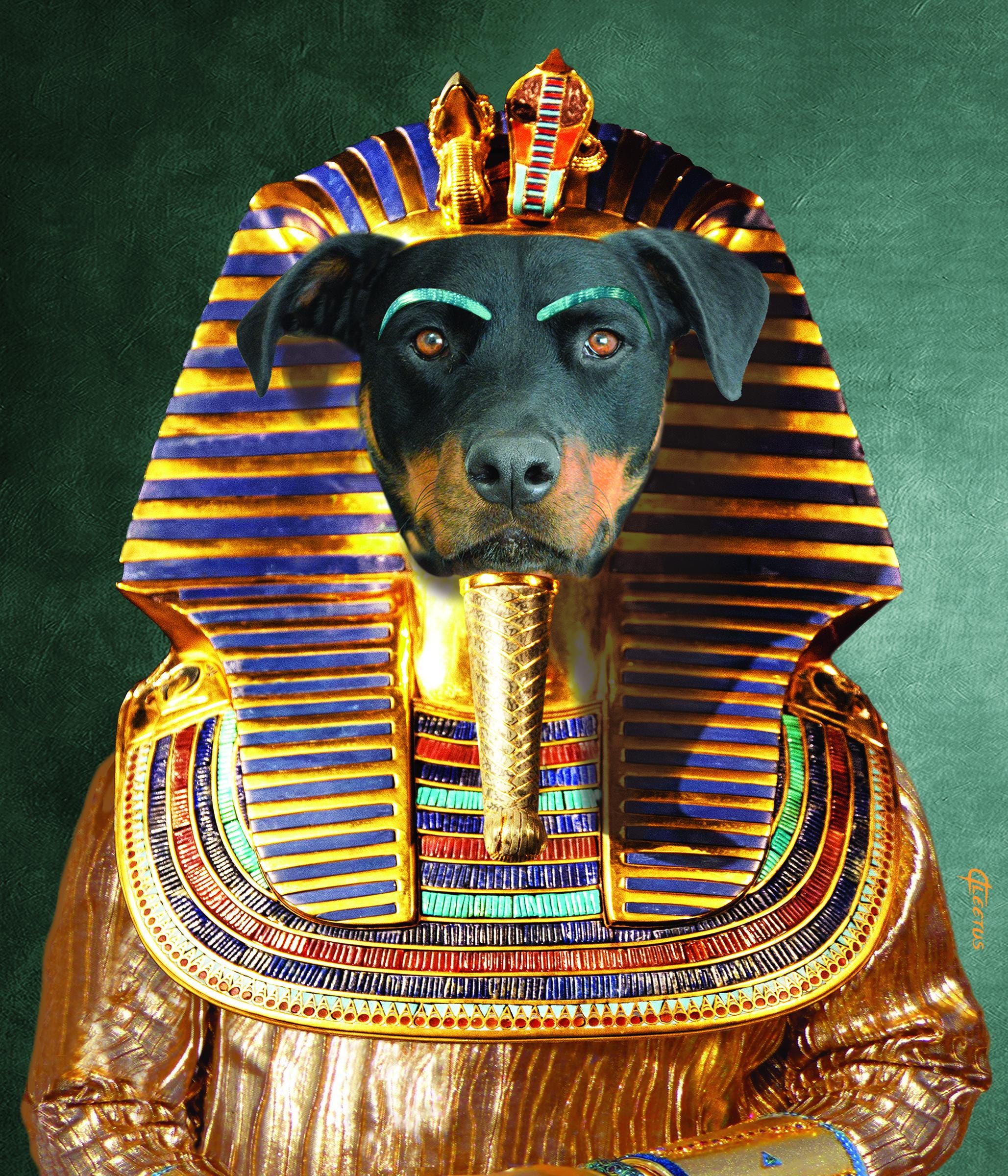 King Mutt - Rottweiler Portrait - Etsy