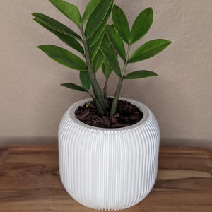 Vela Pot with Drip Tray