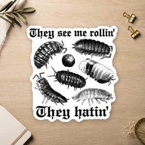 May include: A white die-cut sticker featuring black and white ink-style illustrations of six pill bugs in various positions, including one curled into a ball. The text "They see me rollin' They hatin'" is printed in a bold, black gothic font.