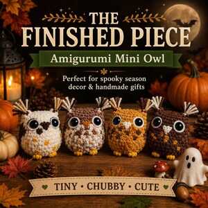May include: Four crocheted amigurumi mini owls in white, light brown, orange, and dark brown, each featuring large black eyes, small yellow feet, and tufted ear feathers. The text reads THE FINISHED PIECE Amigurumi Mini Owl and TINY CHUBBY CUTE.