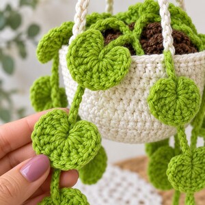 May include: A crocheted hanging plant featuring a cream-colored pot filled with dark brown soil and trailing vines with bright green, heart-shaped leaves. The plant is suspended by thick, cream-colored braided yarn cords.