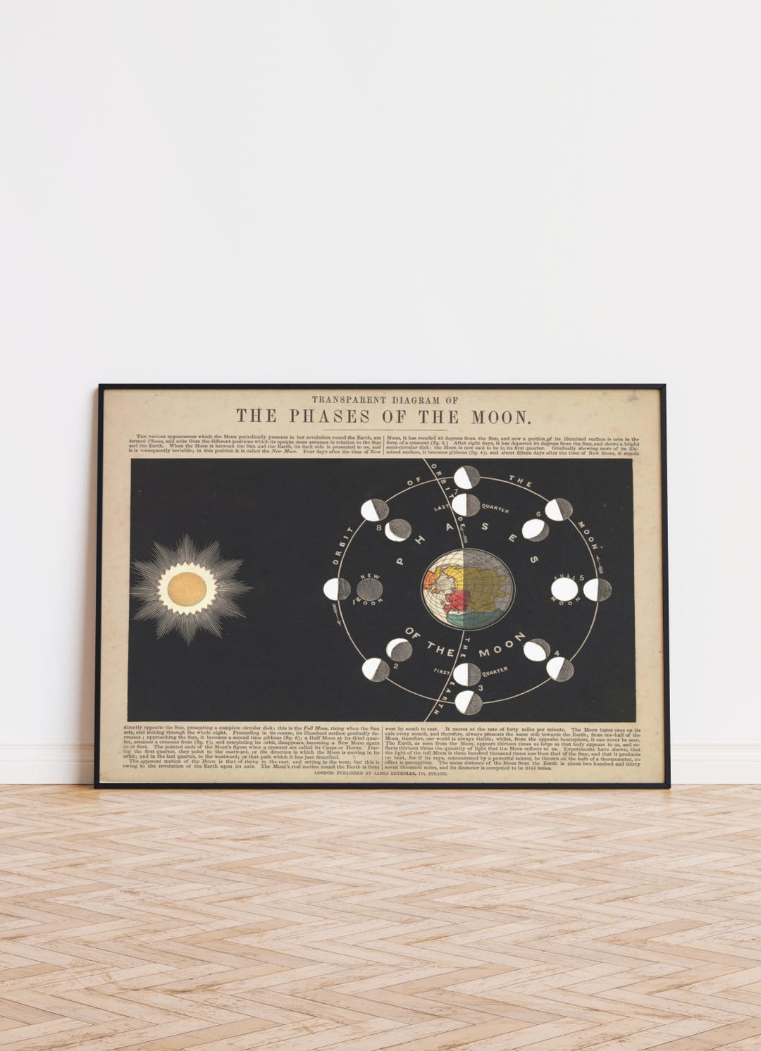 Vintage Moon Phases Chart Print | Celestial Astronomy Art (digital ...