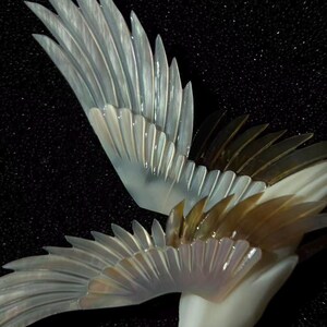 May include: Close-up of a pair of iridescent, stylized wings, possibly a sculpture or decorative element. The wings feature a layered design with a pearlescent sheen, transitioning from white to a golden hue. The background is a dark, textured surface.