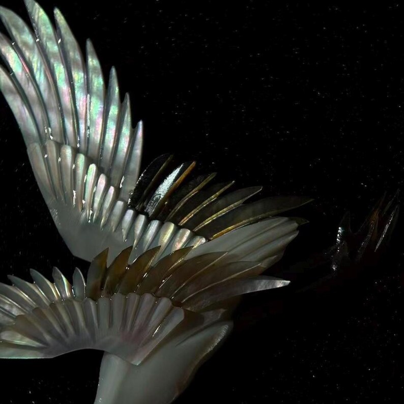 May include: Close-up of iridescent wings with a dark background. The wings have a layered design with a pearlescent sheen, reflecting colors like green, silver, and gold. The feathers are arranged in a fan-like pattern, creating a sense of movement.