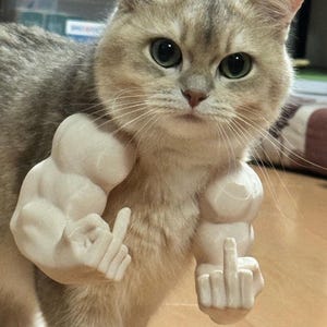 3D Print STL File Pet Muscle Arms Cat Dog Accessory Digital Download Funny Prop