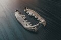 Real Coyote Jaw Bone hangers Ear Weights - BRASS, Earweights, for stretched ears