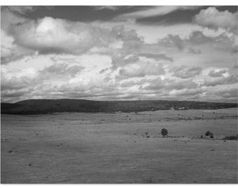 Minimalist Landscape – Black and white analog photograph