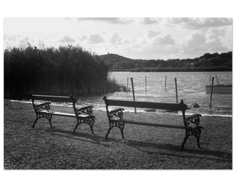 Empty Benches – Black and White Analog Photography Print