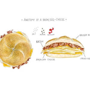 Anatomy of a Bacon, Egg, and Cheese- New York classic print